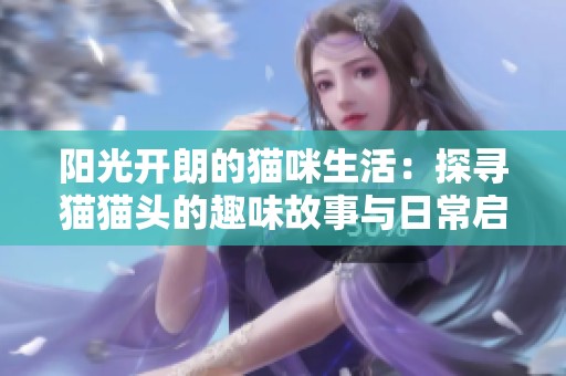 阳光开朗的猫咪生活：探寻猫猫头的趣味故事与日常启示