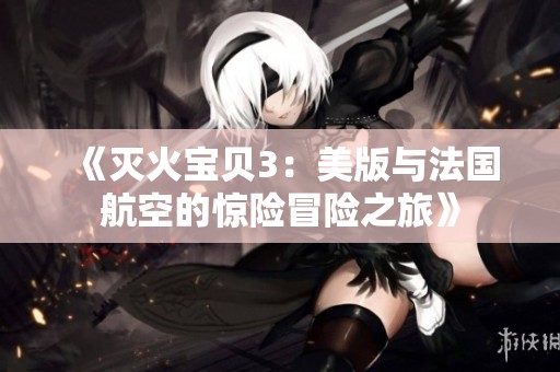 《灭火宝贝3：美版与法国航空的惊险冒险之旅》
