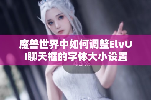 魔兽世界中如何调整ElvUI聊天框的字体大小设置