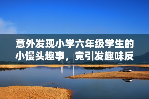 意外发现小学六年级学生的小馒头趣事，竟引发趣味反思