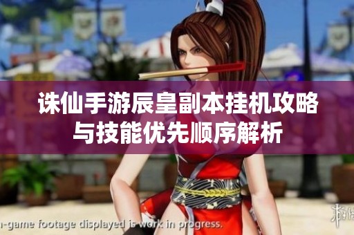 诛仙手游辰皇副本挂机攻略与技能优先顺序解析