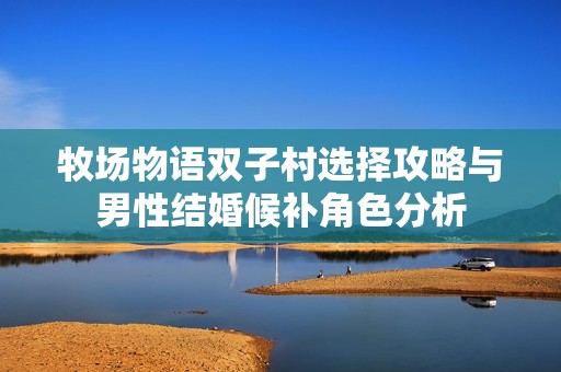 牧场物语双子村选择攻略与男性结婚候补角色分析