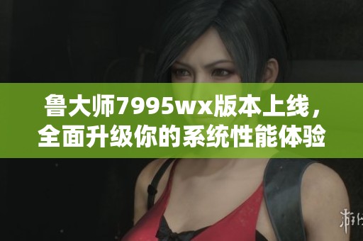 鲁大师7995wx版本上线，全面升级你的系统性能体验