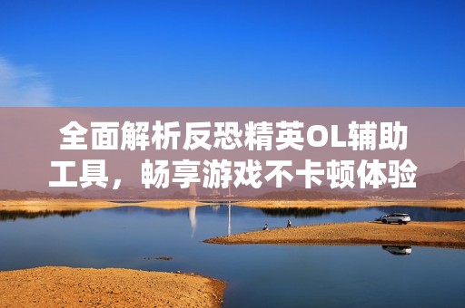 全面解析反恐精英OL辅助工具，畅享游戏不卡顿体验