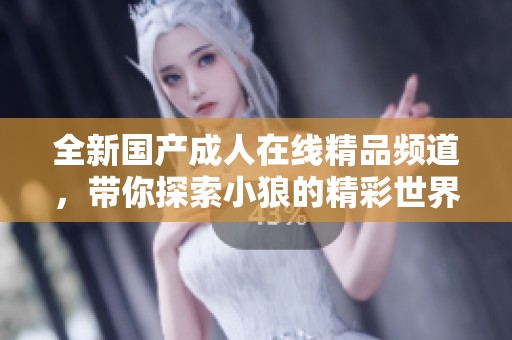 全新国产成人在线精品频道，带你探索小狼的精彩世界