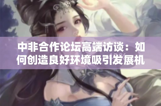 中非合作论坛高端访谈：如何创造良好环境吸引发展机遇