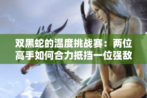 双黑蛇的温度挑战赛：两位高手如何合力抵挡一位强敌
