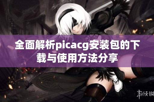 全面解析picacg安装包的下载与使用方法分享