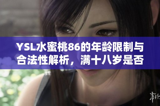 YSL水蜜桃86的年龄限制与合法性解析，满十八岁是否合规