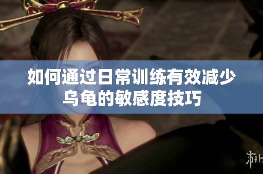 如何通过日常训练有效减少乌龟的敏感度技巧