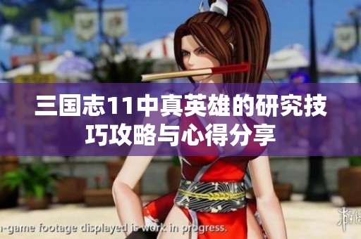 三国志11中真英雄的研究技巧攻略与心得分享