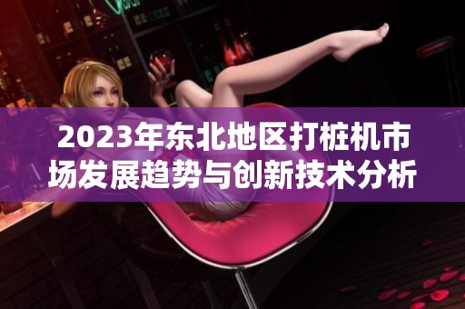 2023年东北地区打桩机市场发展趋势与创新技术分析