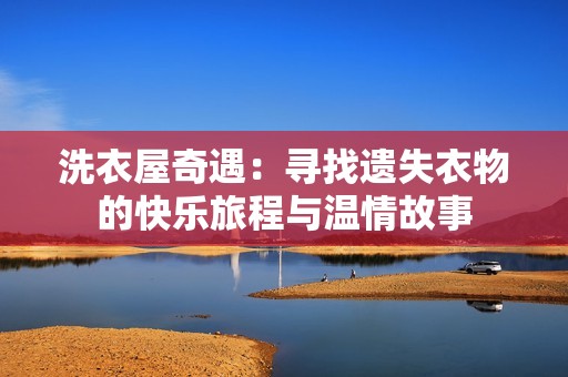 洗衣屋奇遇：寻找遗失衣物的快乐旅程与温情故事