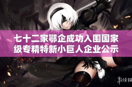 七十二家鄂企成功入围国家级专精特新小巨人企业公示名单