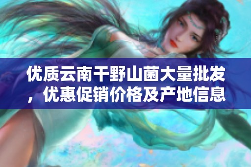 优质云南干野山菌大量批发，优惠促销价格及产地信息一览
