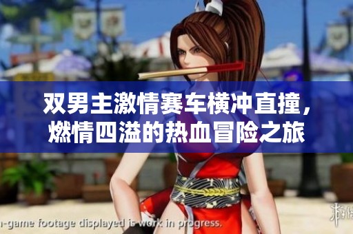 双男主激情赛车横冲直撞，燃情四溢的热血冒险之旅