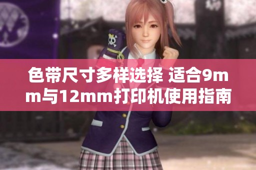 色带尺寸多样选择 适合9mm与12mm打印机使用指南