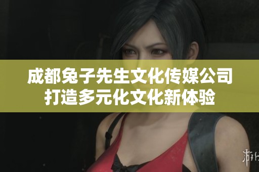 成都兔子先生文化传媒公司打造多元化文化新体验