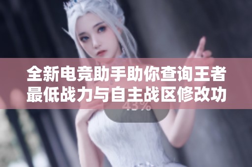 全新电竞助手助你查询王者最低战力与自主战区修改功能