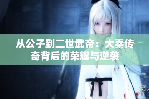 从公子到二世武帝：大秦传奇背后的荣耀与逆袭