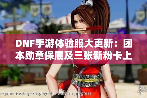 DNF手游体验服大更新：团本勋章保底及三张新粉卡上线