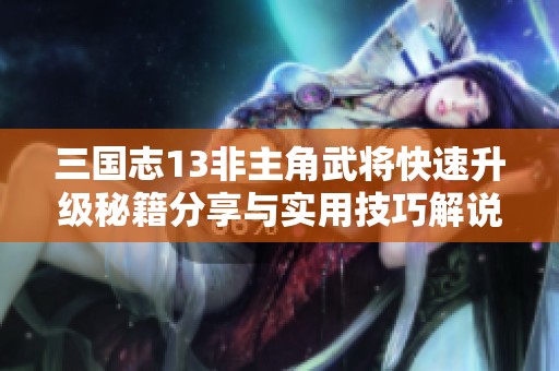 三国志13非主角武将快速升级秘籍分享与实用技巧解说