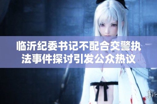 临沂纪委书记不配合交警执法事件探讨引发公众热议