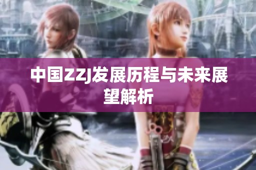 中国ZZJ发展历程与未来展望解析
