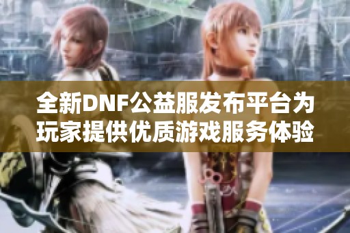 全新DNF公益服发布平台为玩家提供优质游戏服务体验