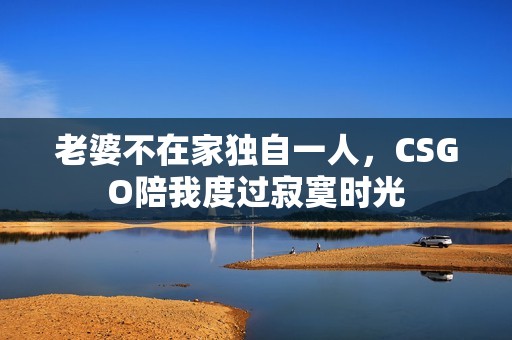老婆不在家独自一人，CSGO陪我度过寂寞时光