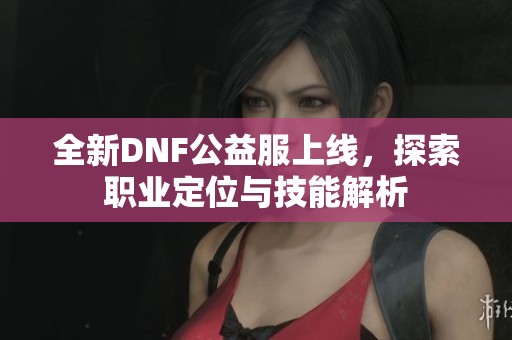 全新DNF公益服上线，探索职业定位与技能解析