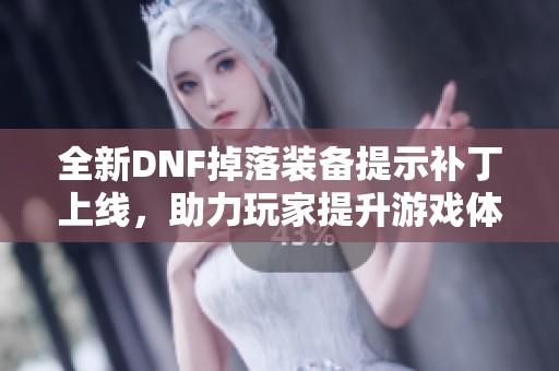 全新DNF掉落装备提示补丁上线，助力玩家提升游戏体验