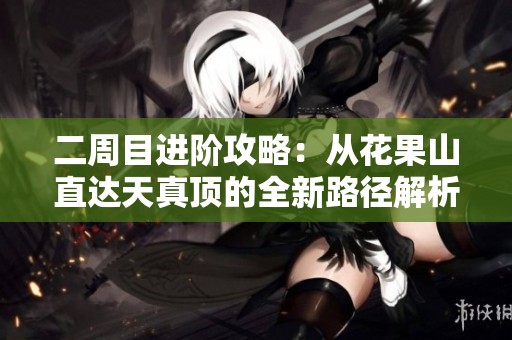 二周目进阶攻略：从花果山直达天真顶的全新路径解析