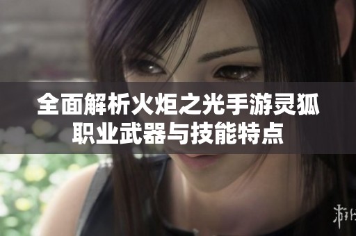 全面解析火炬之光手游灵狐职业武器与技能特点