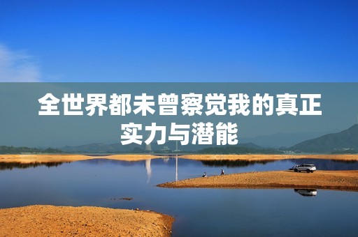 全世界都未曾察觉我的真正实力与潜能