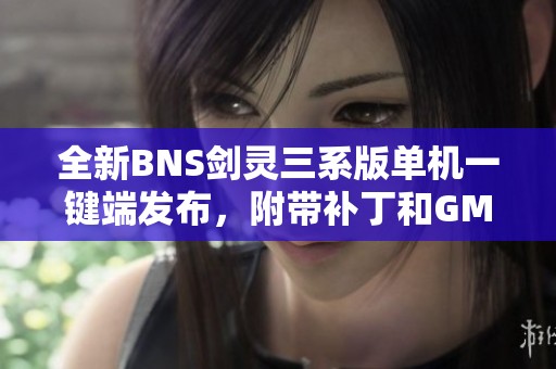 全新BNS剑灵三系版单机一键端发布，附带补丁和GM工具