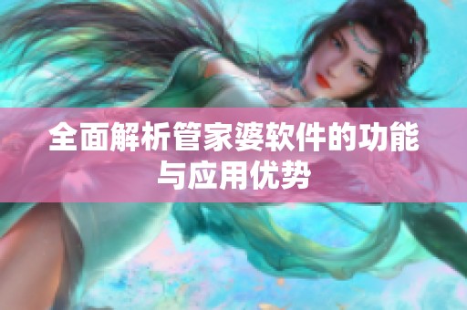 全面解析管家婆软件的功能与应用优势