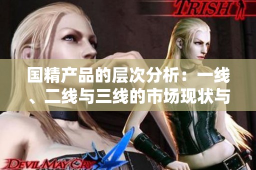 国精产品的层次分析：一线、二线与三线的市场现状与发展趋势