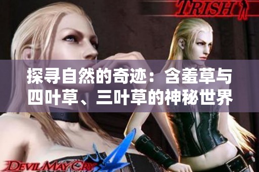探寻自然的奇迹：含羞草与四叶草、三叶草的神秘世界