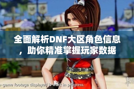 全面解析DNF大区角色信息，助你精准掌握玩家数据