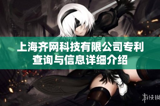 上海齐网科技有限公司专利查询与信息详细介绍