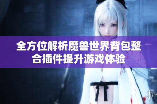 全方位解析魔兽世界背包整合插件提升游戏体验