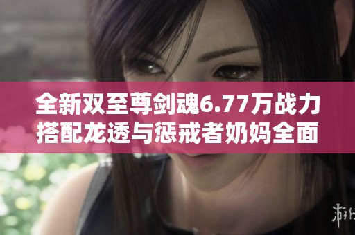 全新双至尊剑魂6.77万战力搭配龙透与惩戒者奶妈全面解析