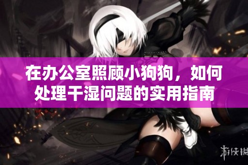在办公室照顾小狗狗，如何处理干湿问题的实用指南