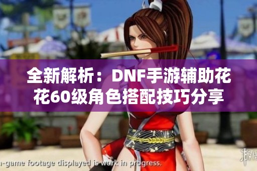 全新解析：DNF手游辅助花花60级角色搭配技巧分享