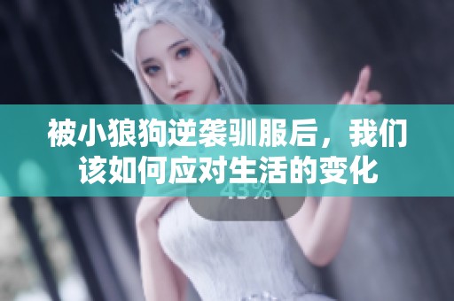 被小狼狗逆袭驯服后，我们该如何应对生活的变化