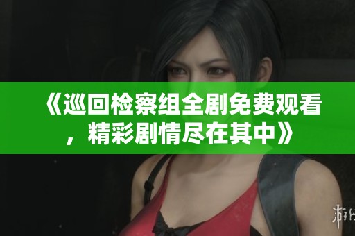《巡回检察组全剧免费观看，精彩剧情尽在其中》
