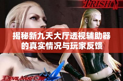 揭秘新九天大厅透视辅助器的真实情况与玩家反馈