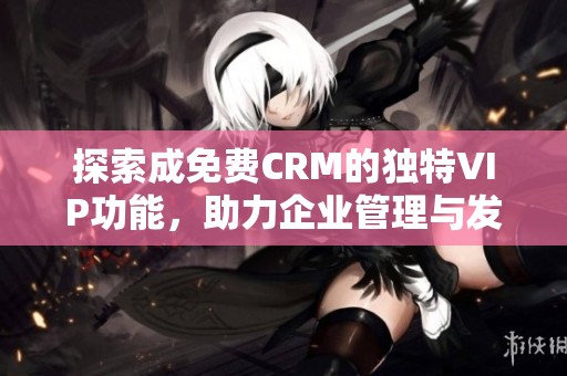 探索成免费CRM的独特VIP功能，助力企业管理与发展