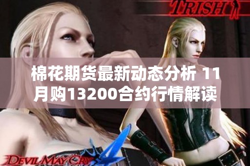 棉花期货最新动态分析 11月购13200合约行情解读